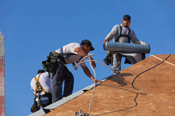 Best Flat Roof Repair Services  in Lihue, HI