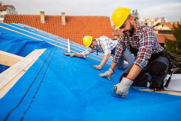 Best Storm Damage Roof Repair  in Lihue, HI